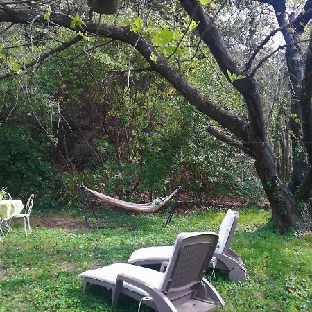 Joli Appartement Dans Villa Entre Nice Et L'Arriere Pays Castagniers Dış mekan fotoğraf