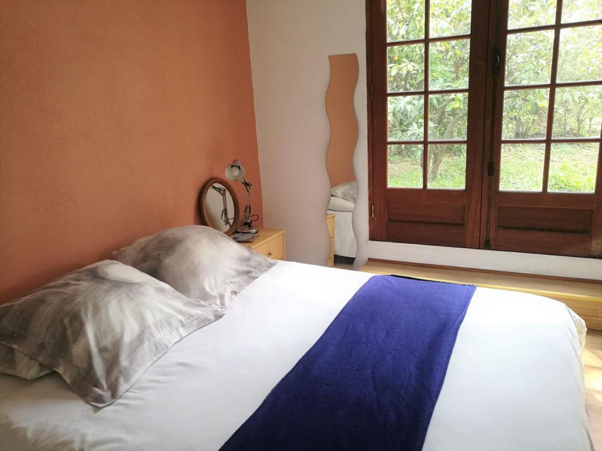 Joli Appartement Dans Villa Entre Nice Et L'Arriere Pays Castagniers Dış mekan fotoğraf
